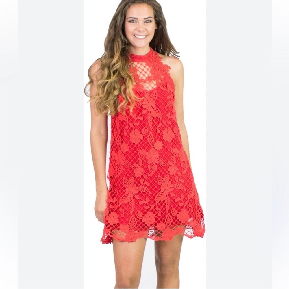 Great Condition Free People Snowdrop Lace Trapeze Dress